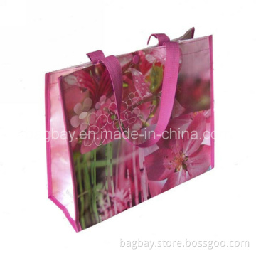 Colorful Print PP Woven Bag (PPBG09-038)